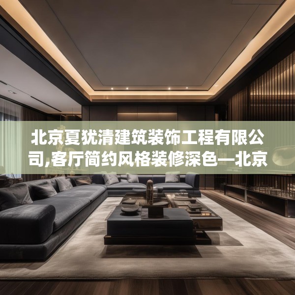 北京夏犹清建筑装饰工程有限公司,客厅简约风格装修深色—北京夏犹清建筑装饰工程有限公司254.a130b131c134fgy.14176677
