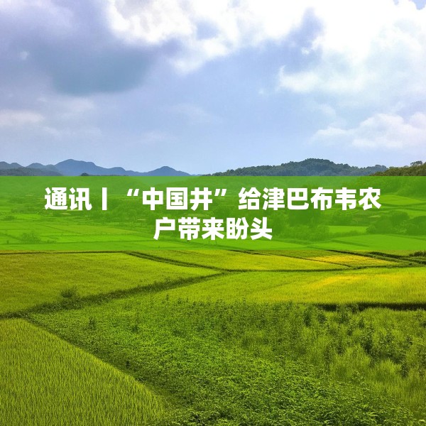 通讯丨“中国井”给津巴布韦农户带来盼头