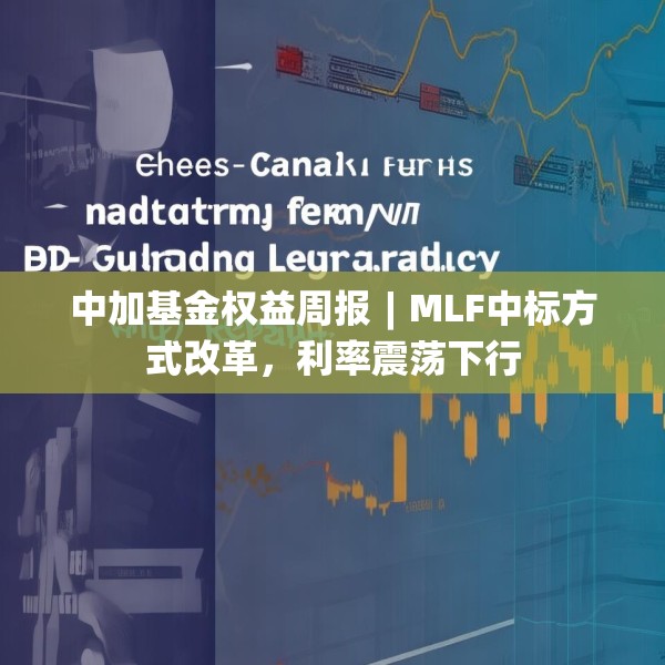 2025年4月2日 第8页