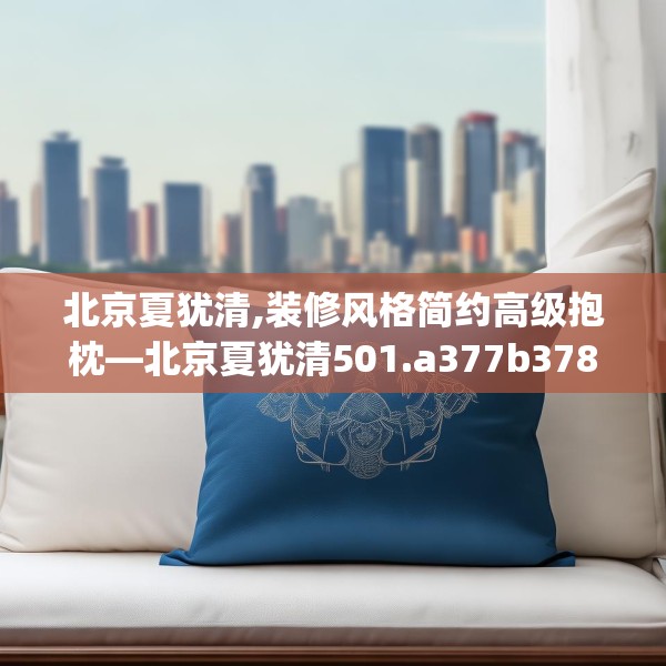 北京夏犹清,装修风格简约高级抱枕—北京夏犹清501.a377b378c381fgy.388fhsg