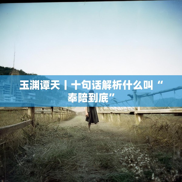 玉渊谭天丨十句话解析什么叫“奉陪到底”