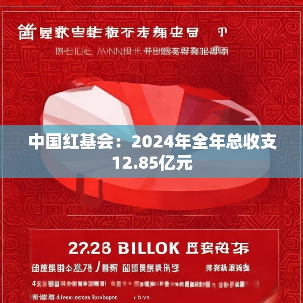 中国红基会：2024年全年总收支12.85亿元