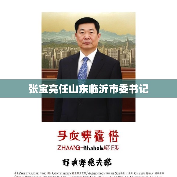 张宝亮任山东临沂市委书记