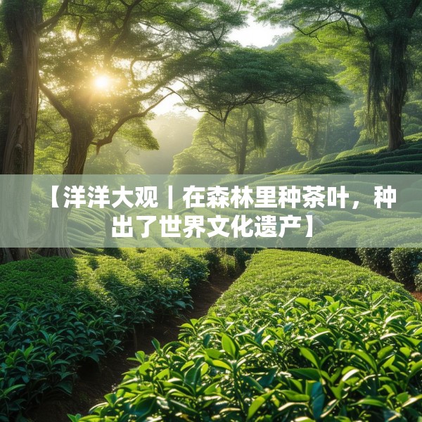 【洋洋大观｜在森林里种茶叶，种出了世界文化遗产】