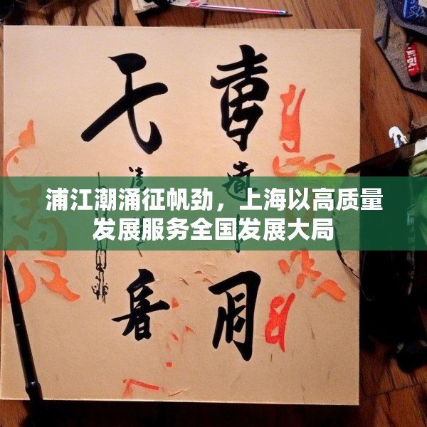 浦江潮涌征帆劲，上海以高质量发展服务全国发展大局