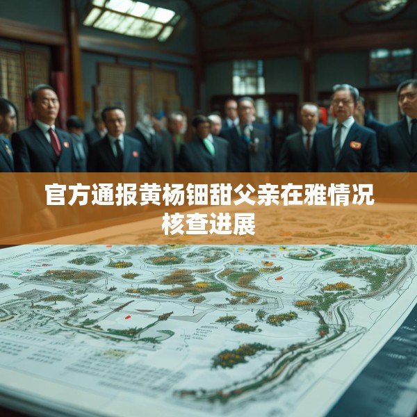 官方通报黄杨钿甜父亲在雅情况核查进展