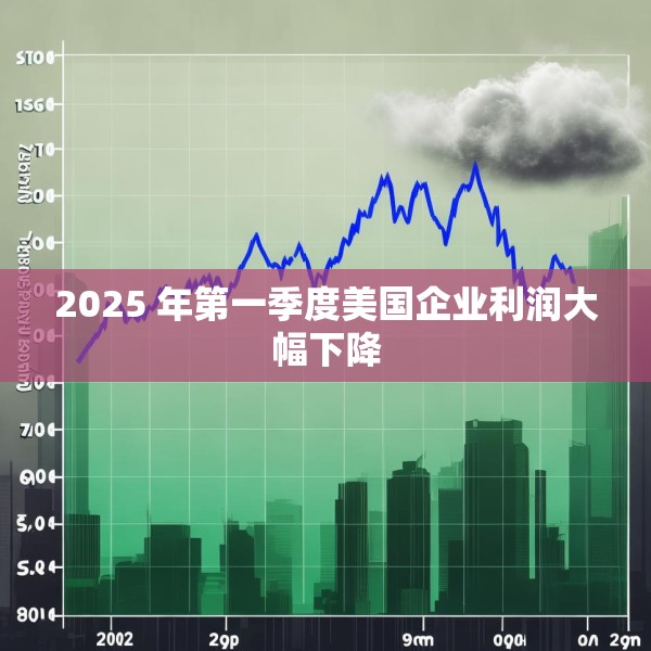 2025 年第一季度美国企业利润大幅下降