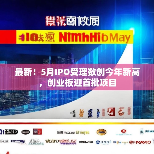 最新！5月IPO受理数创今年新高，创业板迎首批项目