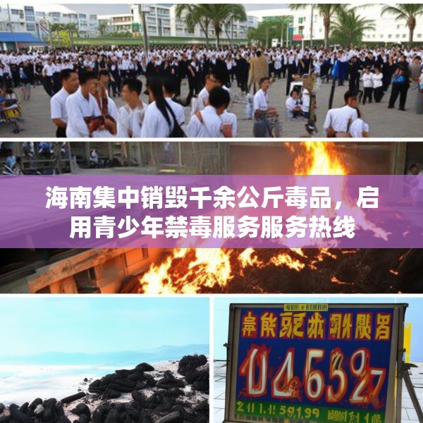 海南集中销毁千余公斤毒品，启用青少年禁毒服务服务热线