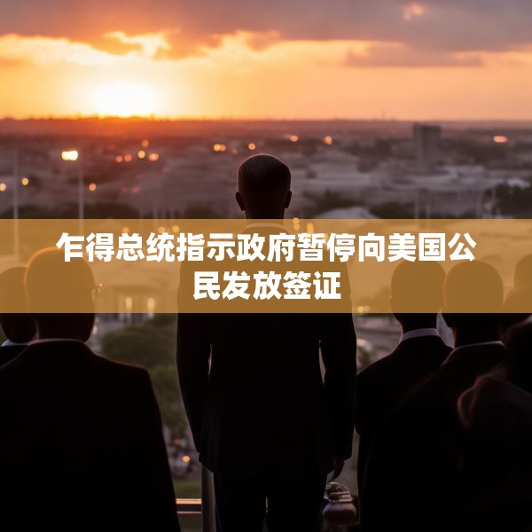 乍得总统指示政府暂停向美国公民发放签证