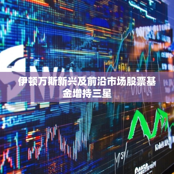 伊顿万斯新兴及前沿市场股票基金增持三星