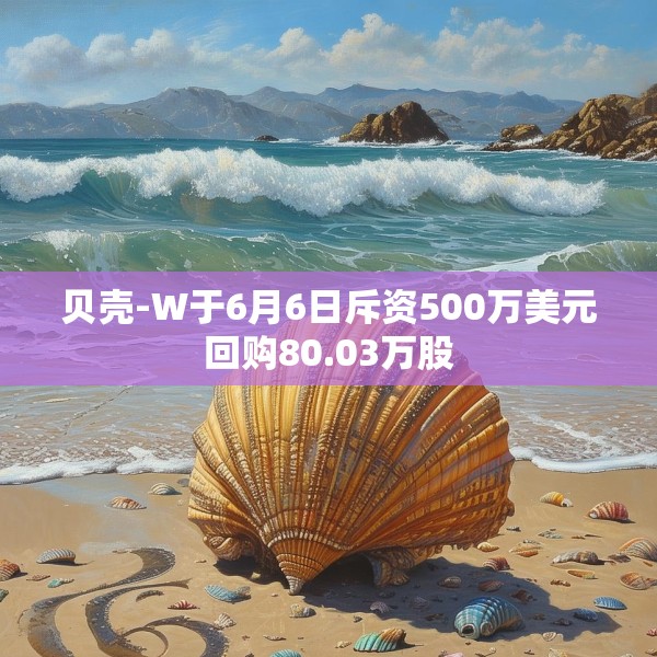 贝壳-W于6月6日斥资500万美元回购80.03万股