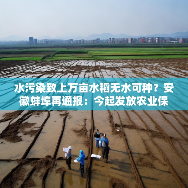 水污染致上万亩水稻无水可种？安徽蚌埠再通报：今起发放农业保险赔付