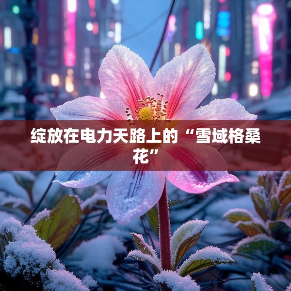 绽放在电力天路上的“雪域格桑花”