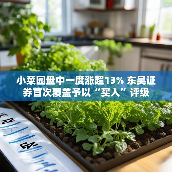 小菜园盘中一度涨超13% 东吴证券首次覆盖予以“买入”评级