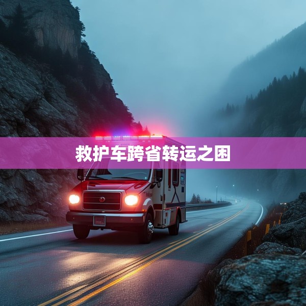 救护车跨省转运之困