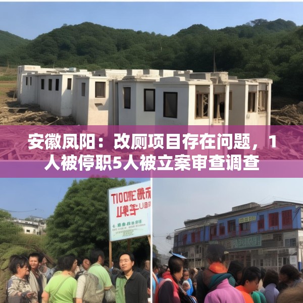 安徽凤阳：改厕项目存在问题，1人被停职5人被立案审查调查