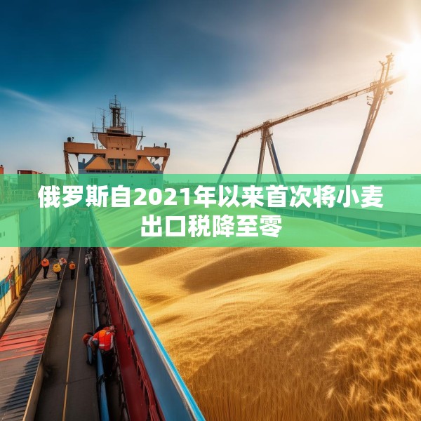 俄罗斯自2021年以来首次将小麦出口税降至零